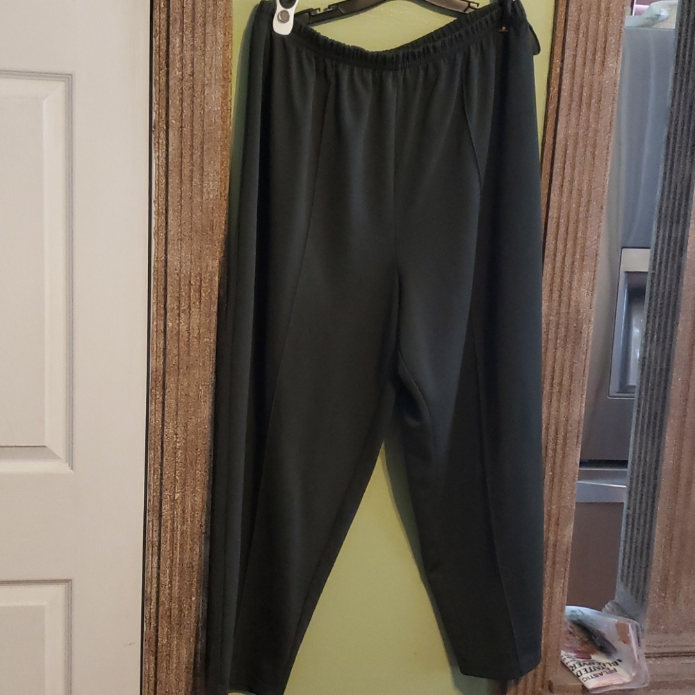 Roamans plus size pants (#262)